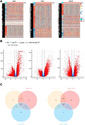 A Metabolic Gene Signature to Predict Breast Cancer Prognosis